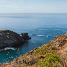 Punta Lobos.jpg
