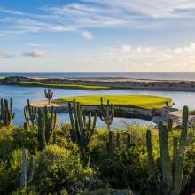 Solmar links.jpg