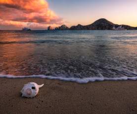 An intimate foreground view from El Medano Beach sand at golden hour, featuring a detailed conch shell as soft, silky waves wash by. The background shows the Sea of Cortez with anchored yachts and a clear silhouette of the iconic El Arco (The Arch) and Land's End granite formations under a dramatic, colorful sunset sky with a large, golden, lit cloud.