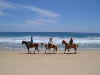 Caballos
