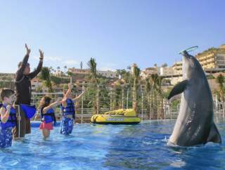 DOLPHIN KIDS_15