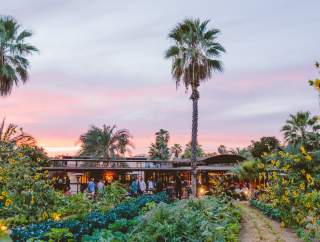 Flora Farms
