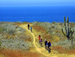 Mountain Bikers