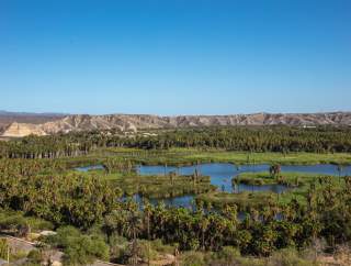 Oasis de Santiago.jpg