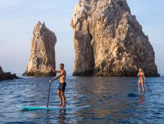 PaddleBoard