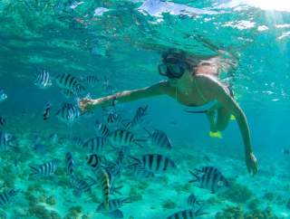 Snorkeling