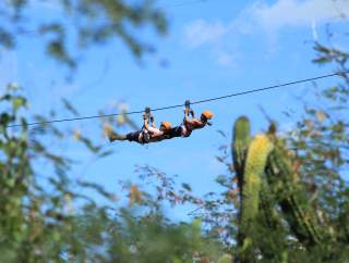 Zipline