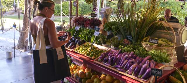 he same woman closely examining vegetables at the market stall, surrounded by vibrant produce, including eggplants, zucchini, and citrus fruits