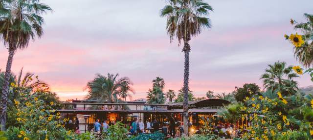 Flora Farms