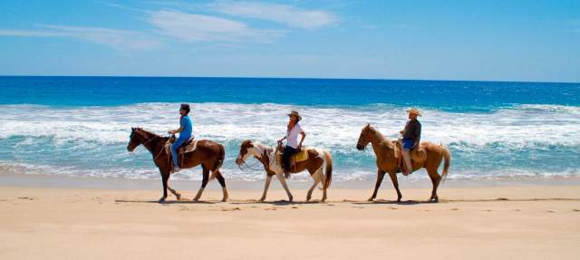 Horseback Riding on Beach