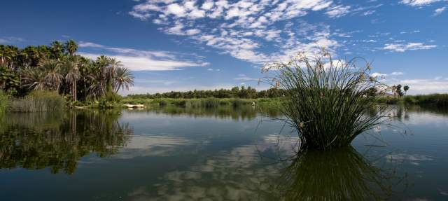 Estero San Jose del Cabo