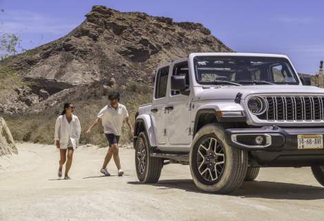 Your Los Cabos Questions, Answered