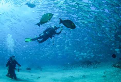 Diving in Los Cabos