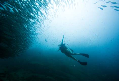 Cabo Pulmo, todo lo que debes saber de esta reserva natural