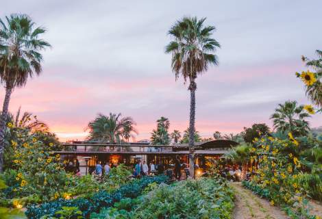 Flora Farms