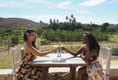 Go from Farm to Table to Your Health in Los Cabos