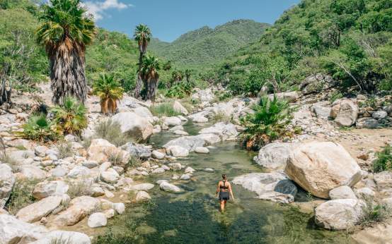 Sierra de la Laguna - HIKE MARIANNA