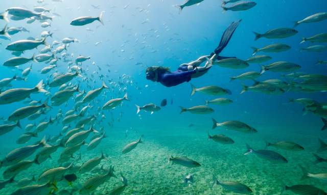 mujer haciendo snorkel en cabo pulmo