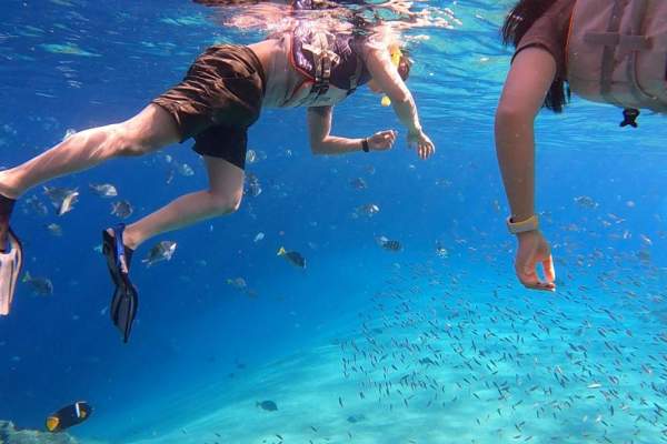 Empoderando a las mujeres en el océano: Conoce a Cabo Nature y sus líderes