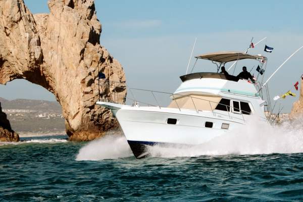 Bisbee's Black and Blue 2025: El torneo de pesca deportiva más importante