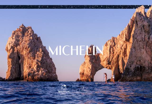 Michelin Banner New