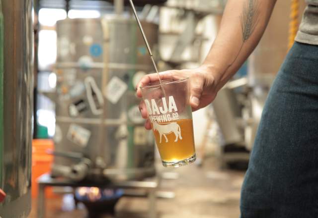 Baja Brewing Pint