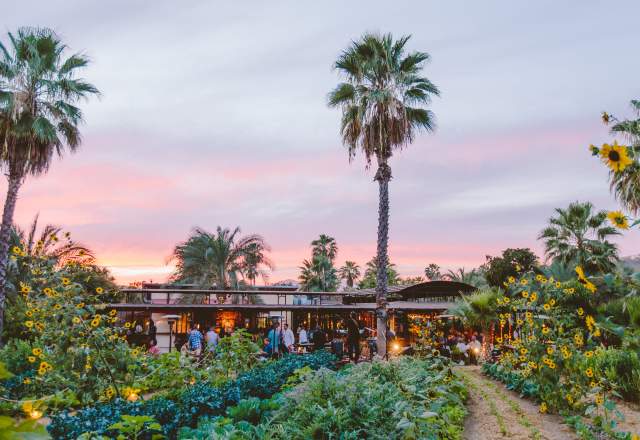 Flora Farms