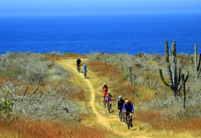 Mountain Bikers