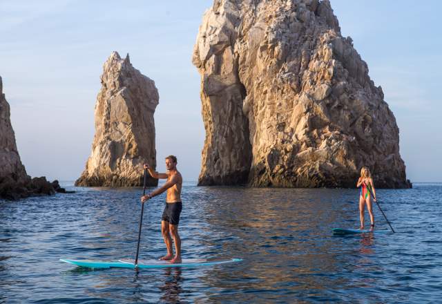 PaddleBoard