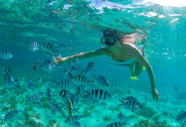 Snorkeling