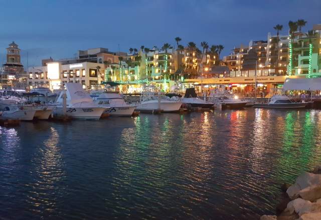 marina at night