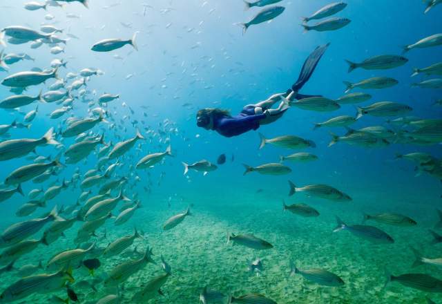 mujer haciendo snorkel en el mar rodeada de peces