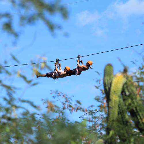 Zipline