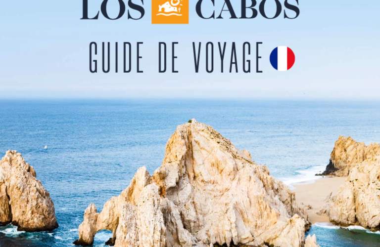 Travel Guide for France Market