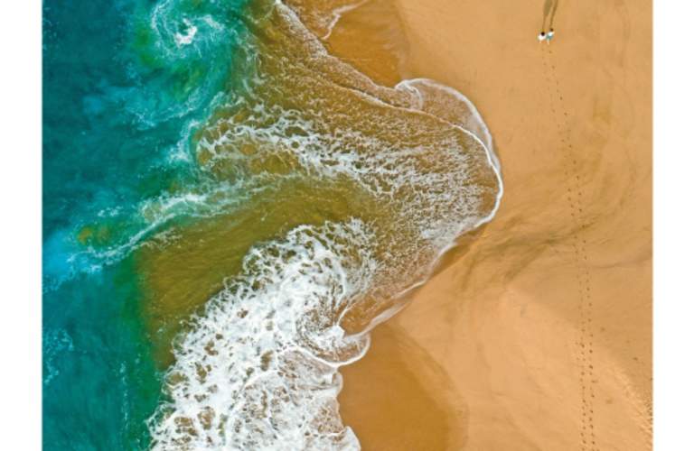 visit los cabos 2024