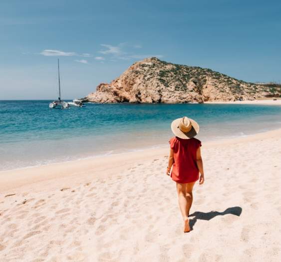 Escápate a Los Cabos y conecta con la naturaleza