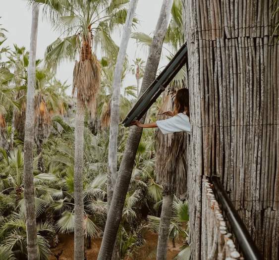 A Hidden Gem: Acre’s Seamless Blend of Boutique Luxury and Nature