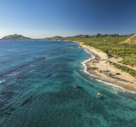 Earth Day is Every Day in Los Cabos: Sustainability Efforts & Eco All-Stars