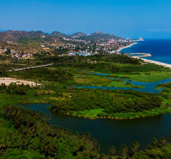 El Estero de San José del Cabo, un santuario natural para descubrir la vida silvestre