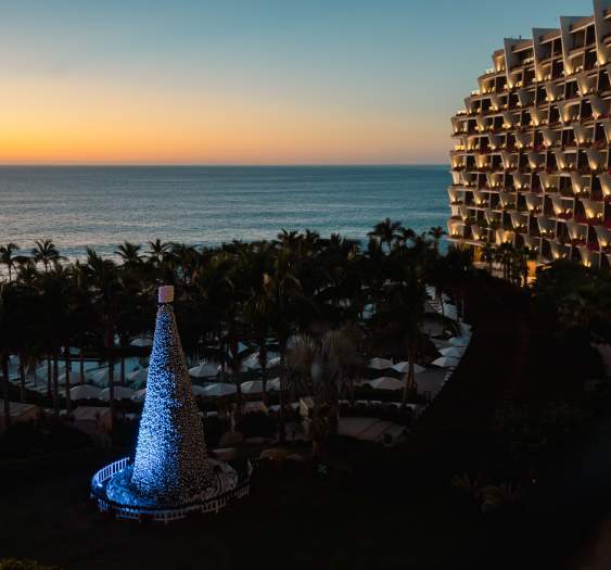 Sun-Soaked and Sparkling: Luxe Holidays in Los Cabos