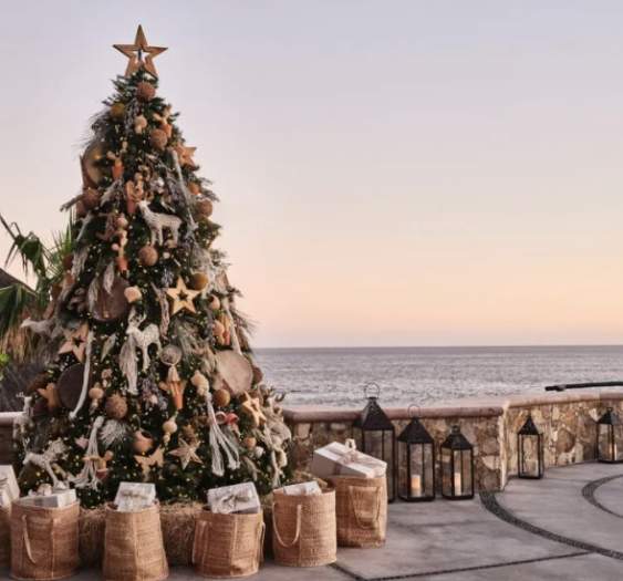 The 2025 Holiday Season in Los Cabos