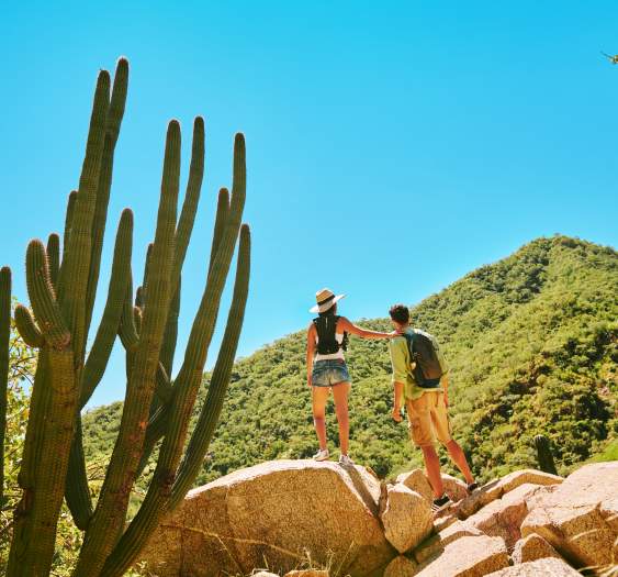 3 Desert Adventures to Celebrate Cactus Day in Los Cabos