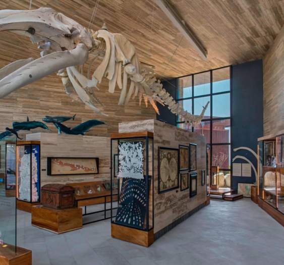 Conoce la historia de Los Cabos en este museo dentro de un hotel