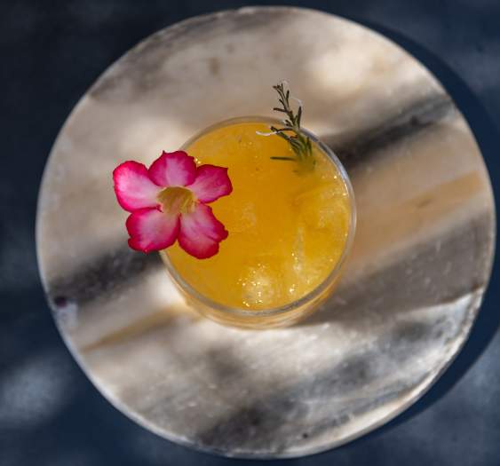 Refreshing Spring Cocktails in Los Cabos