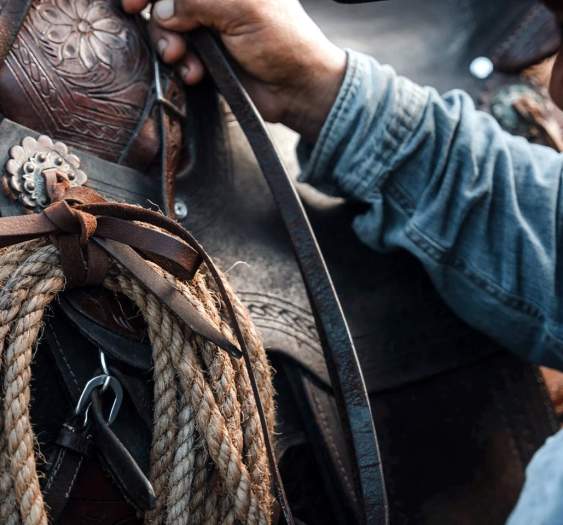 La tradición vaquera de Baja California Sur: una herencia que sigue cabalgando en Los Cabos