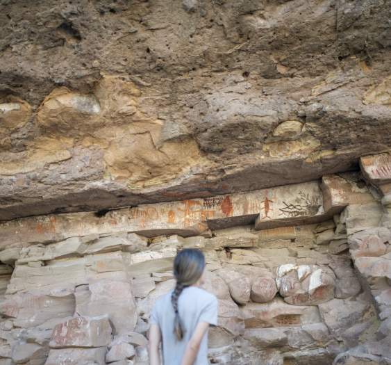 Petroglyphs and Shell Mounds: Explore Los Cabos' Fascinating Ancient History