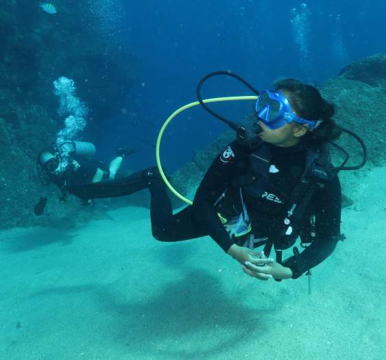 Celebrating Women Leaders in Los Cabos: Pioneers of Hospitality, Adventure, and Art