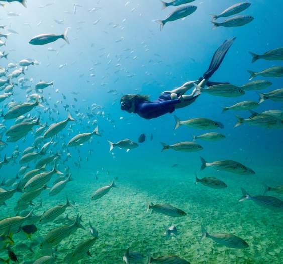 Certifícate como buzo en Los Cabos: tu pasaporte al mundo submarino