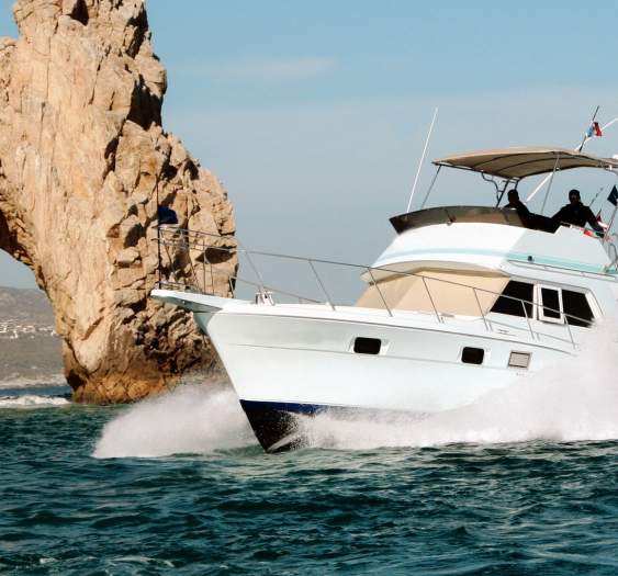 Bisbee's Black and Blue 2025: El torneo de pesca deportiva más importante