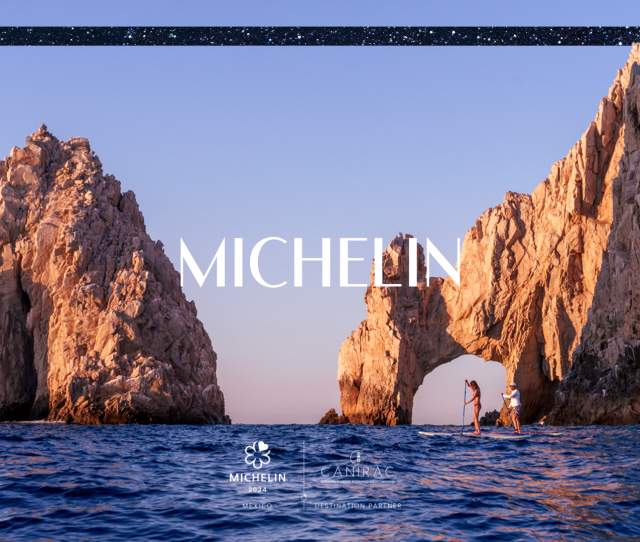 Michelin Banner New